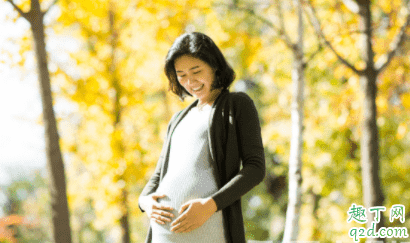過年懷孕好不好 過年懷孕要注意什么 3