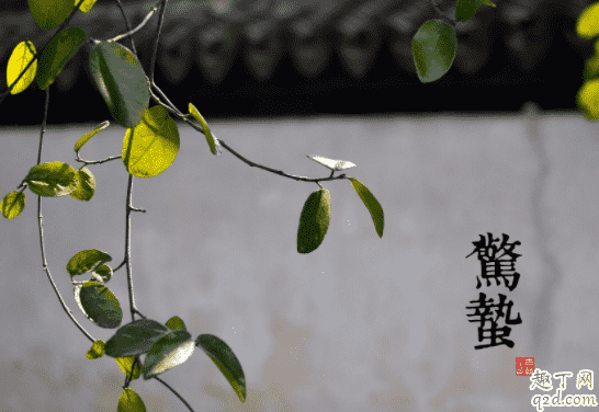 2021年幾點幾分驚蟄 2021年驚蟄適合結婚嗎4