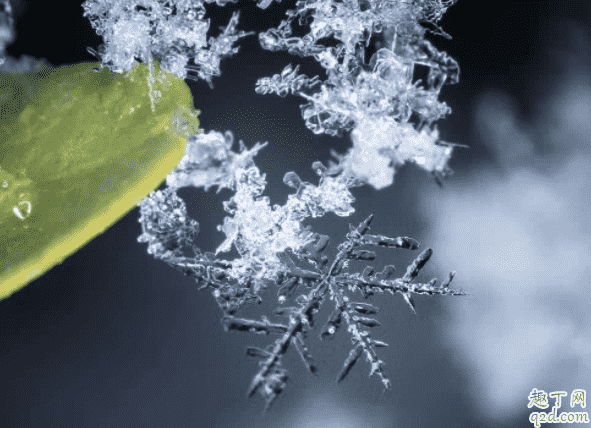 2020小雪是農歷哪一天 2020年小雪什么時候開始幾點幾分4