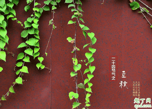 2020什么時候立秋幾點幾分 2020年的立秋是早秋還是晚秋4