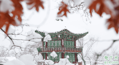 冬至中暖烘烘什么意思 冬至中暖烘烘代表了什么3