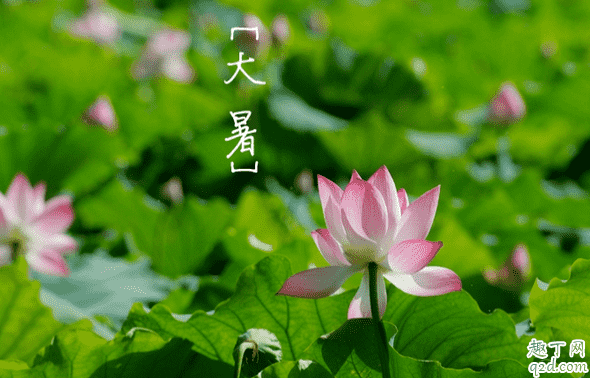 2020年什么時候大暑 2020年大暑是幾伏天1