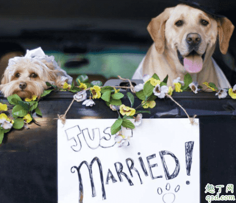 2020年端午節能結婚嗎 2020農歷五月哪天結婚好3