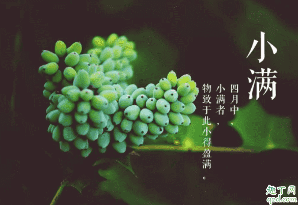 2020幾點幾分小滿 2020小滿適合結婚嗎4