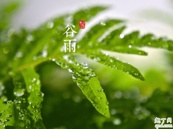 2020幾點幾分谷雨 谷雨的時候人們會干些什么1