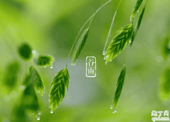 谷雨為何祭倉頡 谷雨祭祀誰4