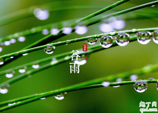 谷雨結婚好嗎2020年 2020年4月哪些日子結婚好1