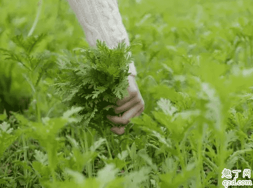 春分豎雞蛋是生的還是熟的 春分豎雞蛋有什么技巧4