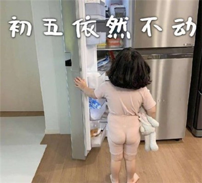 朋友圈春節待在家表情包帶字2020 初一一動不動初二按兵不動6