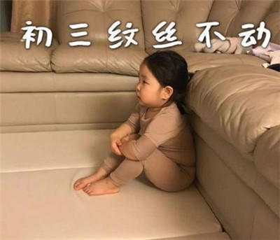 朋友圈春節待在家表情包帶字2020 初一一動不動初二按兵不動4