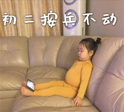 朋友圈春節待在家表情包帶字2020 初一一動不動初二按兵不動3