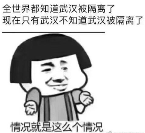 武漢肺炎朋友圈表情包 關于武漢新型病毒感染表情惡搞2