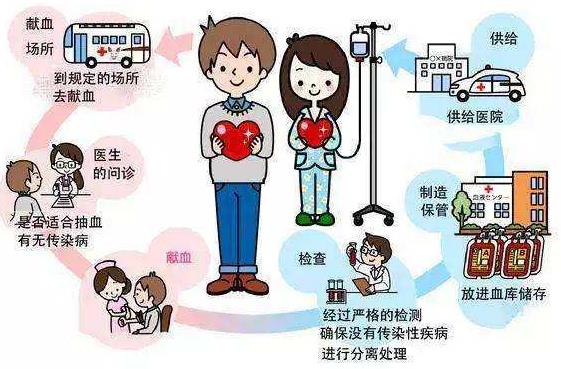 經常獻血對身體好嗎？多長時間可以獻一次血？獻血前后注意事項