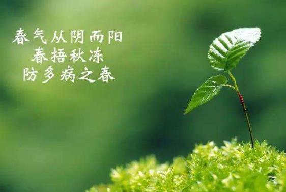 春天怎么捂最健康養生？愛美女人別過早換裝，春捂最佳穿衣原則