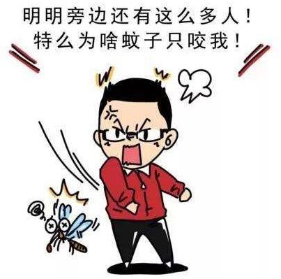 什么血型最招蚊子？蚊子喜歡叮咬什么樣的人