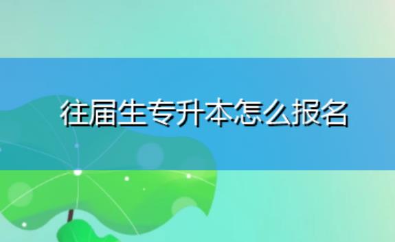 往屆生可以專升本嗎？專升本的含金量怎樣