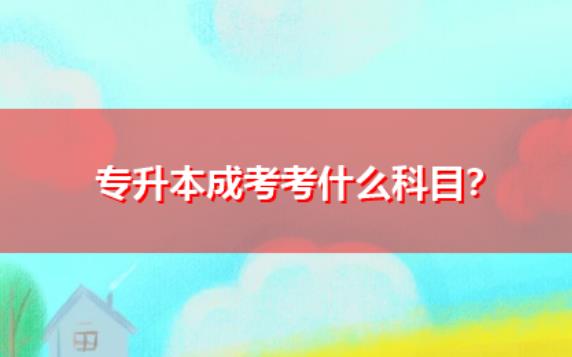 專升本成人自考考什么？專升本國家承認嗎