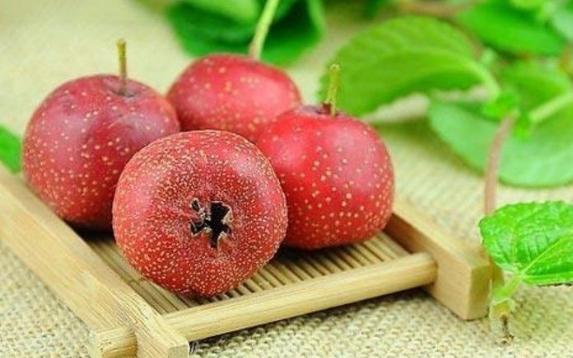 吃山楂有什么好處可以減肥嗎？山楂能放冰箱里冷藏嗎
