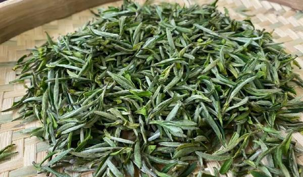 黃山毛峰是綠茶嗎(綠茶，品質優良黃山毛峰采摘自清明前后)