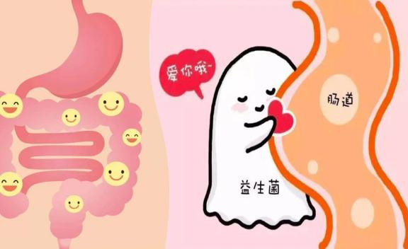 益生菌長期吃有危害嗎？如何正確的吃益生菌
