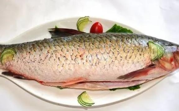 怎么挑選新鮮的草魚？草魚哪些部位不能吃