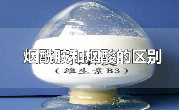 煙酰胺和煙酸的區別是什么？果酸和煙酰胺能一起用嗎