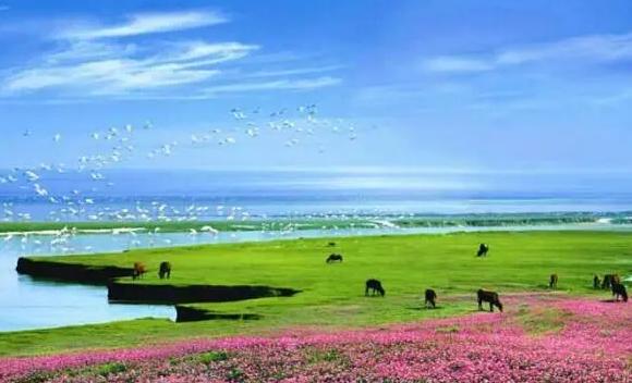 中國五大淡水湖都分別是什么？ 中國第一大淡水湖是哪個湖
