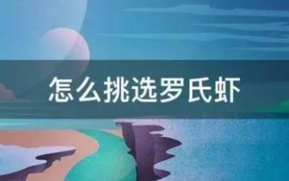 怎么挑選羅氏蝦？煮羅氏蝦熱水下鍋還是冷水下鍋