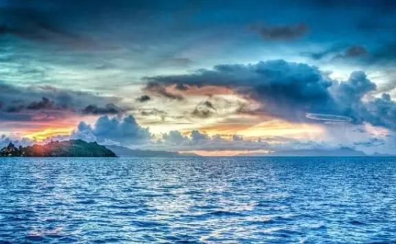 太平洋是世界上最大的海洋嗎？海洋動物有哪些