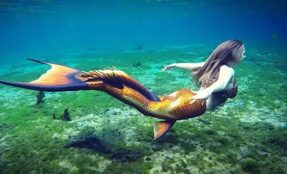 世界上有美人魚嗎？美人魚是什么動物