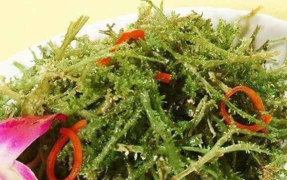 鹿角菜長什么樣子？干鹿角菜的處理方法