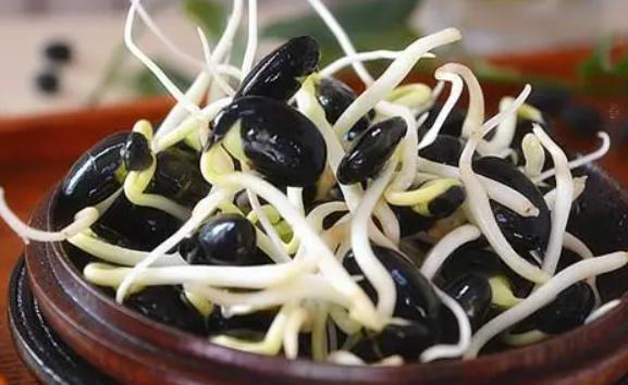 黑豆芽的好處和作用是什么？黑豆芽的詳細介紹