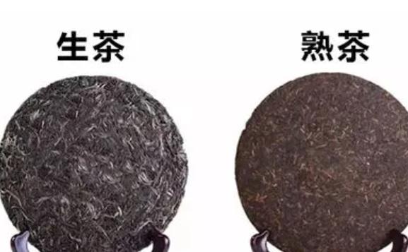 普洱茶生與熟的區別怎么辨別？普洱茶怎么喝對身體更好