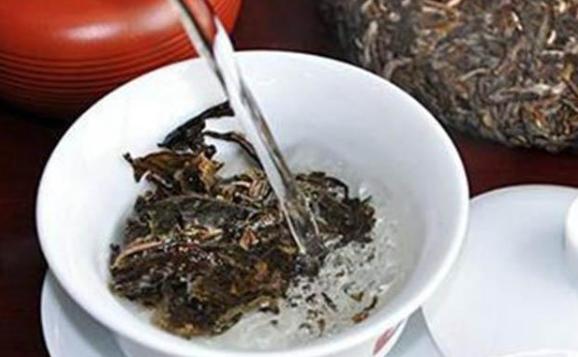 普洱茶要怎么洗茶？普洱茶不能和什么一起吃
