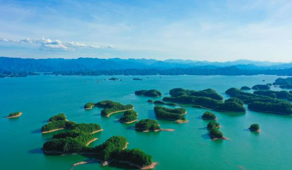 千島湖有哪些必吃的美食(千島湖魚頭、千島玉鱉、土雞煲等)