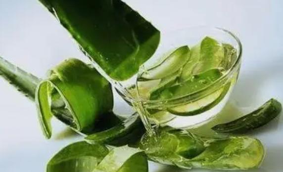 橄欖油和蘆薈膠哪個好？橄欖油護膚怎么用