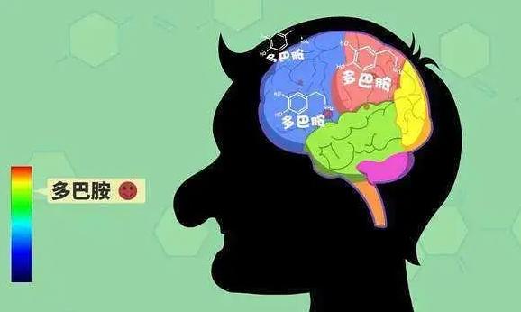 多巴胺分泌旺盛是什么意思？為什么多巴胺能使人產生快感