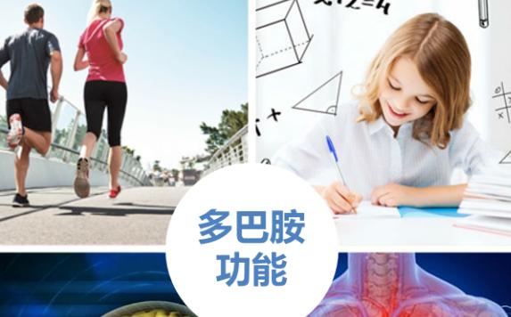 體育運動能產生多巴胺嗎？如何補充多巴胺