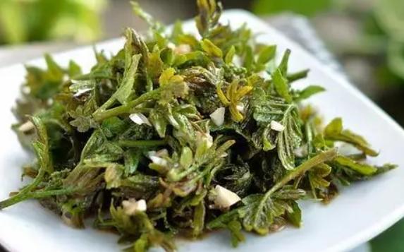 花椒葉怎么長期保存？花椒葉的吃法