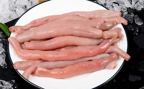 沙蟲和海腸哪個好吃？沙蟲營養成分