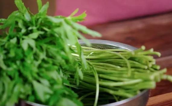 茼蒿和藜蒿是一樣的嗎？茼蒿是酸性還是堿性