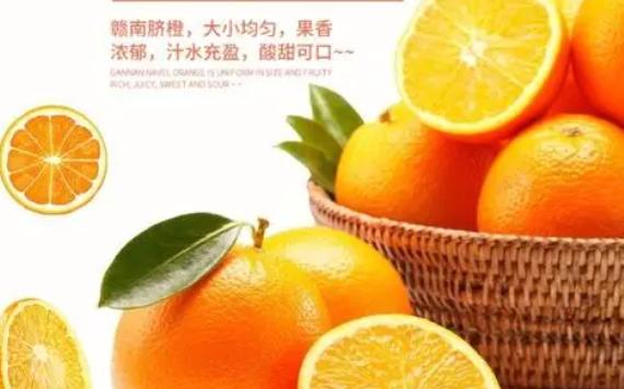 贛南臍橙是什么?贛南臍橙的特色和優勢