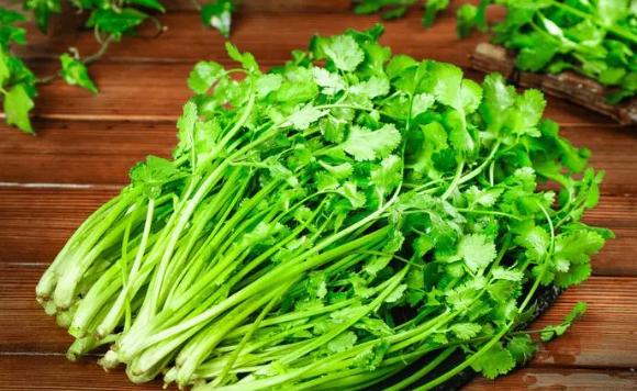 香菜是什么菜？香菜有什么營養價值呢