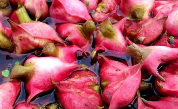 菱角有什么營養價值呢？生菱角怎么保存方法