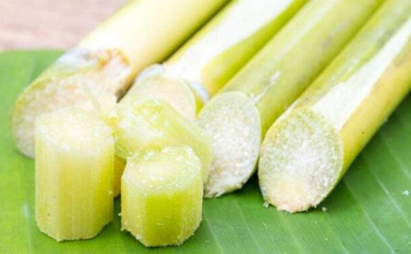 吃甘蔗嘴巴長泡怎么回事？吃甘蔗為什么會嘴巴起泡
