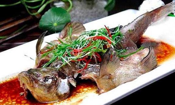為什么桂花魚要叫桂花？桂花魚有牙嗎
