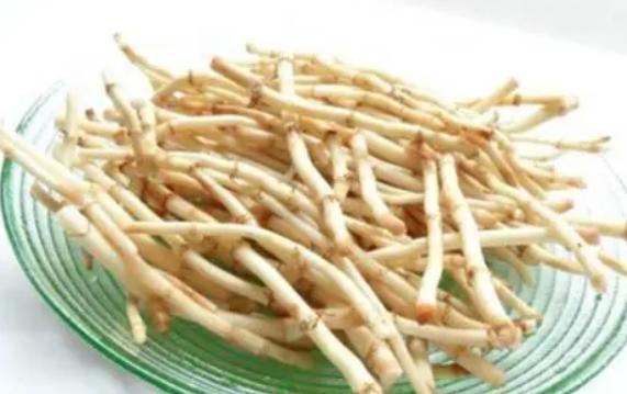 魚腥草什么季節有？魚腥草是熱性還是涼性