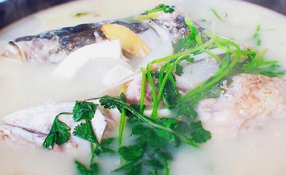 鳙魚頭湯的好處與作用有什么？鰱魚頭湯怎么做好喝