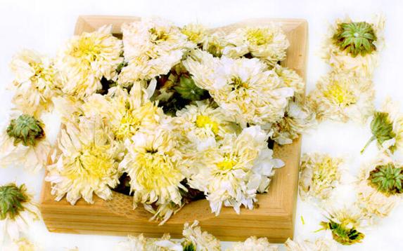 貢菊花產自哪里?？貢菊花怎么選購?